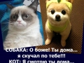 mem20