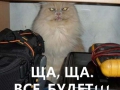 mem7