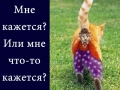 mem8