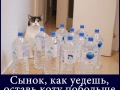 mem9