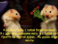 smex5